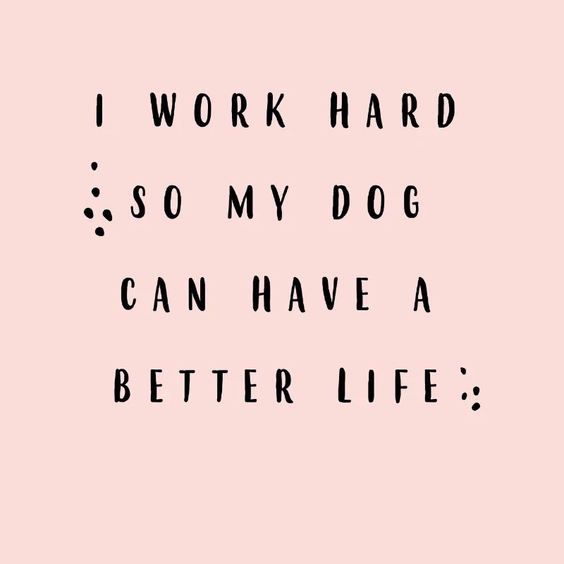 Everything for the dog