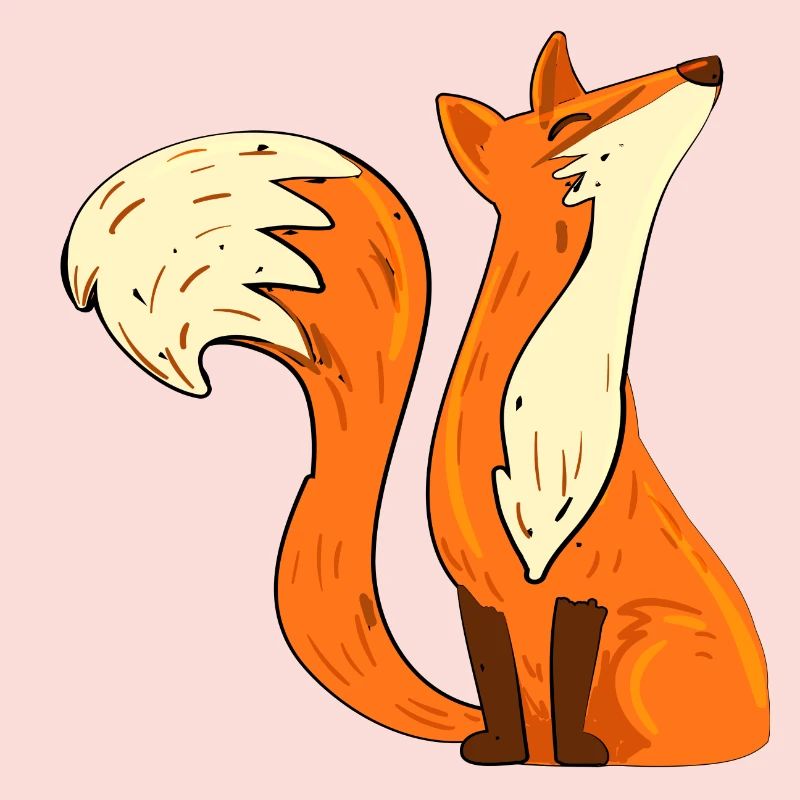 Fox insulté