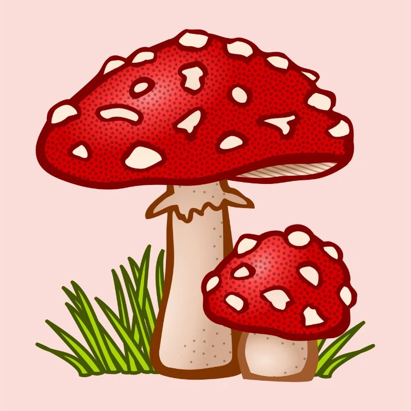 champignons champignons vegetables112 veggie veggie champignons