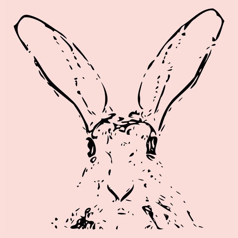 Hase