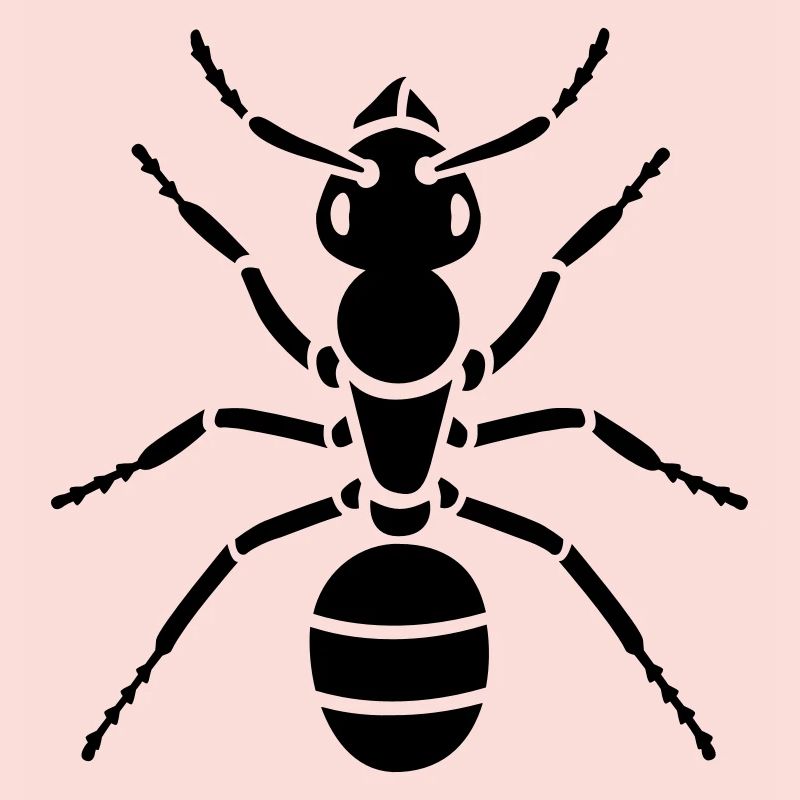 Insectes - Ant