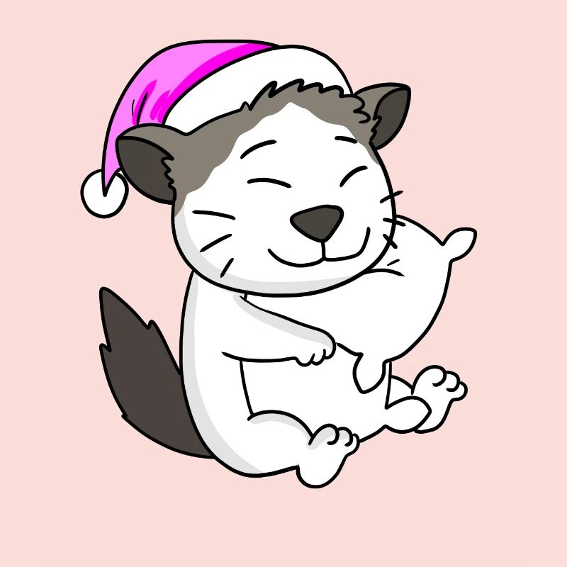 Cat cat breed Ragdoll