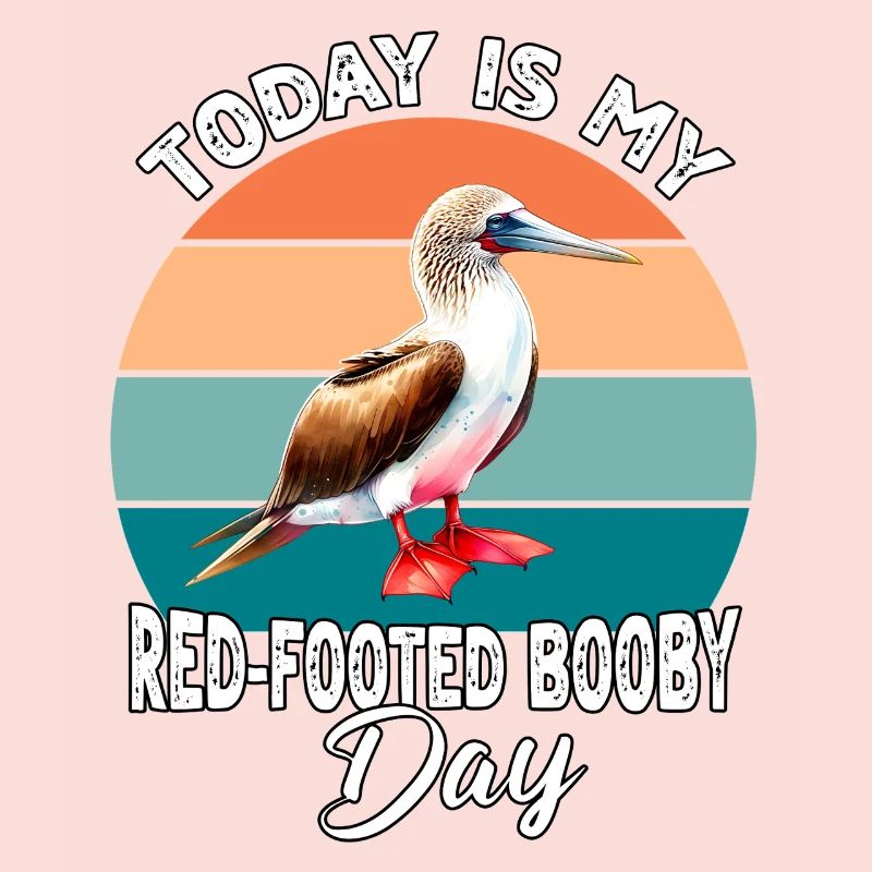 Rotfusstölpel Red Footed Booby