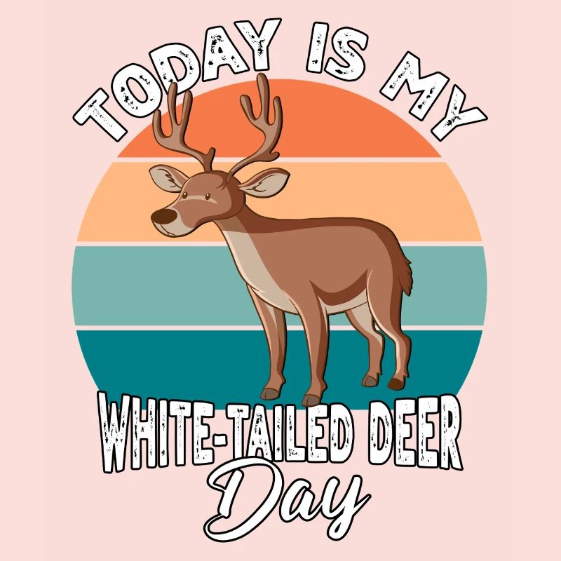 Weisswedelhirsch White-Tailed Deer