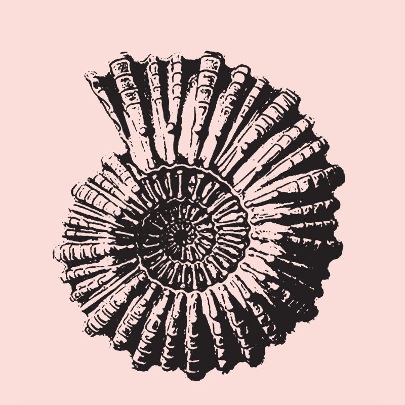 Escargot de pierre rétro
