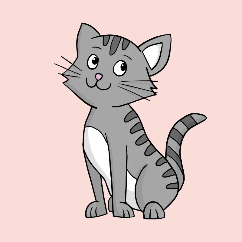 Chat gris