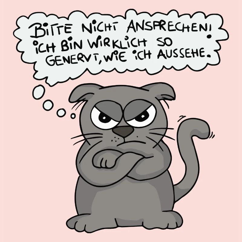 Genervte Katze - Nicht ansprechen!