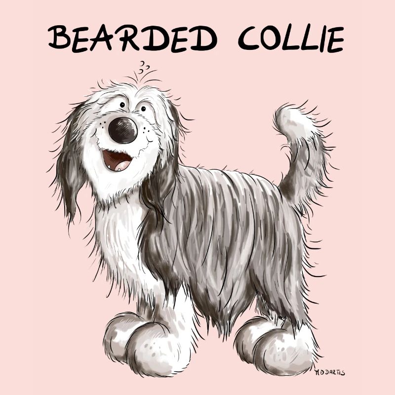 Mignon Bearded Collie