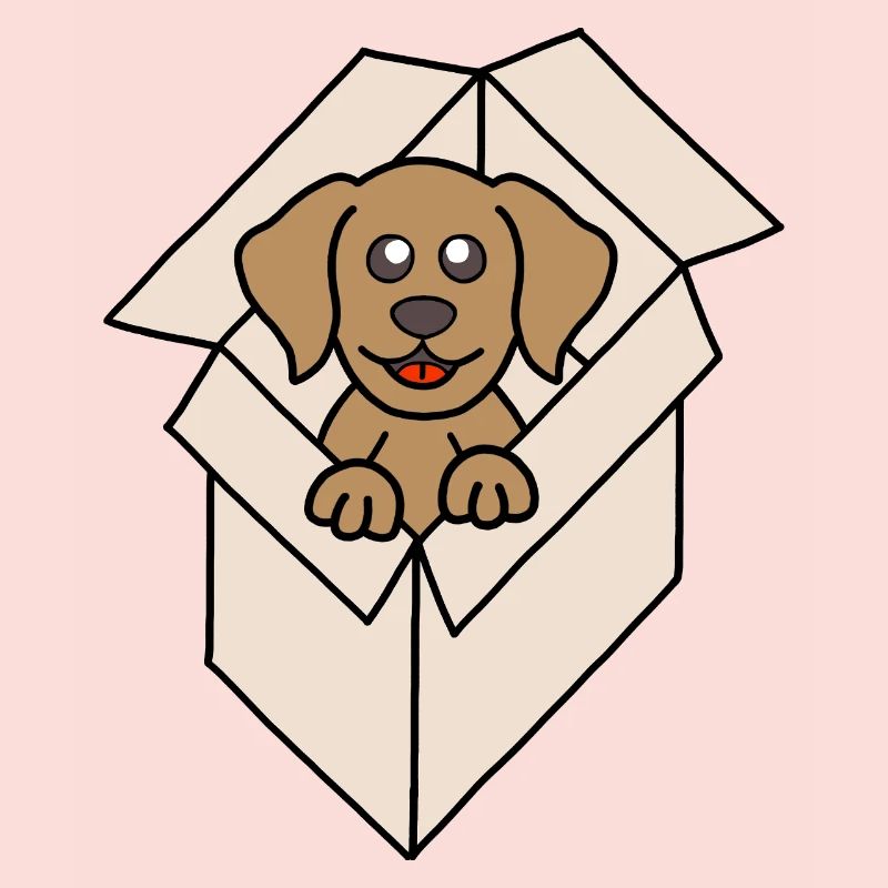 Kuschelhund im Karton