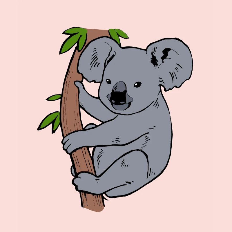 Koala
