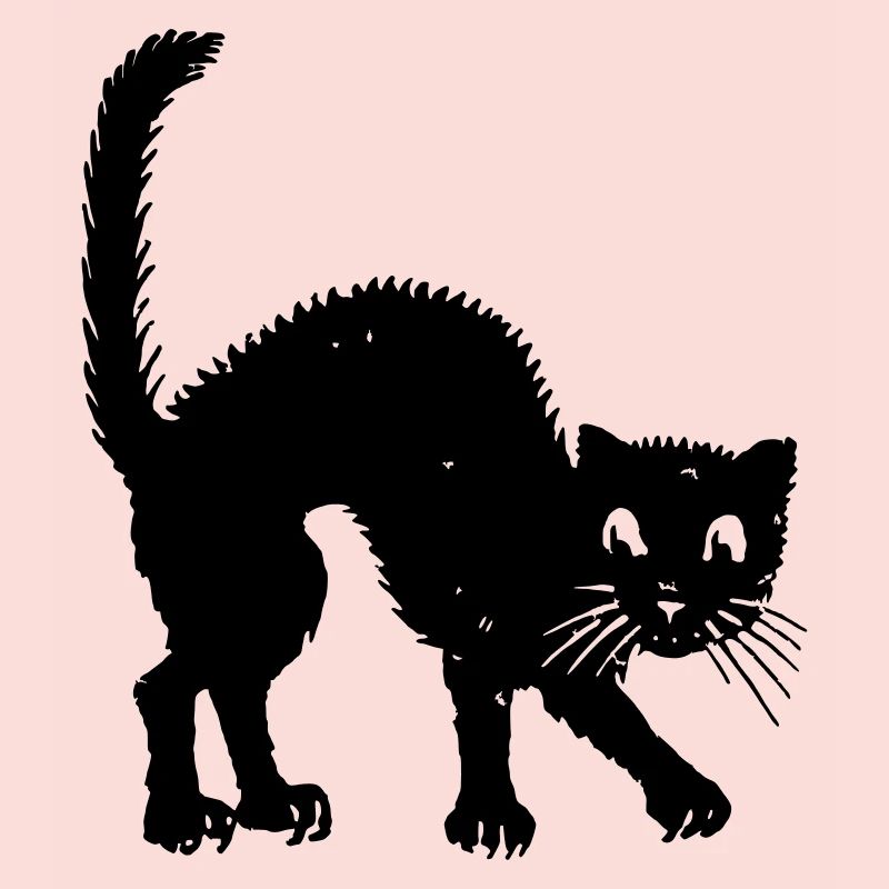 humpback cat