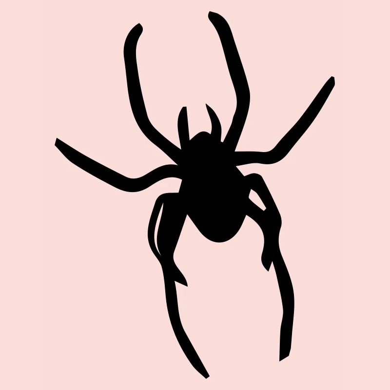spider