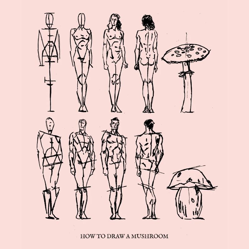 comment dessiner un champignon / champignons / Art