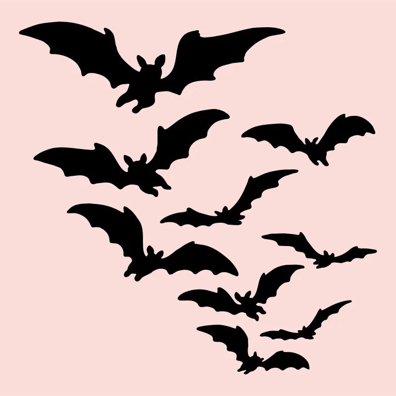 chauve souris