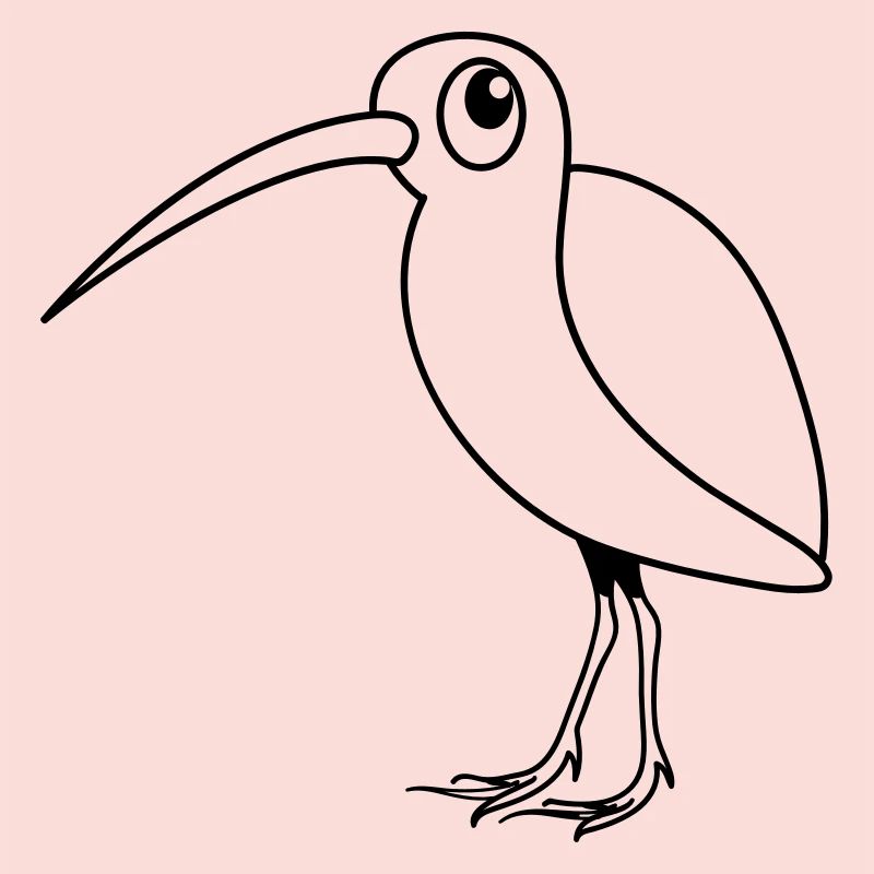 Schnepfe Vogel Tier witzig süss Design