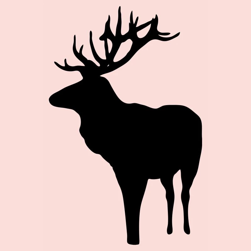 cerfs - bois de cervidé - la chasse - chasseur