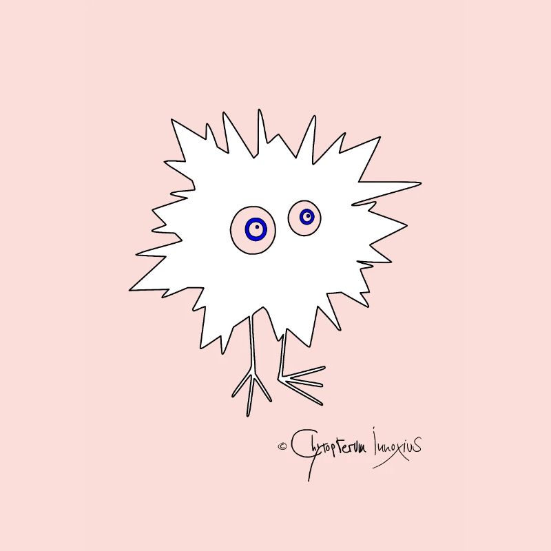Woolly Beastie flashed © Chyropterum Innoxius