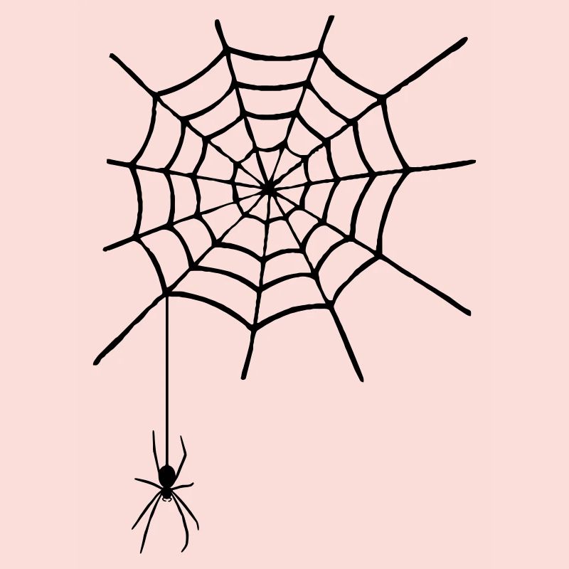 Spinnennetz mit Spinne