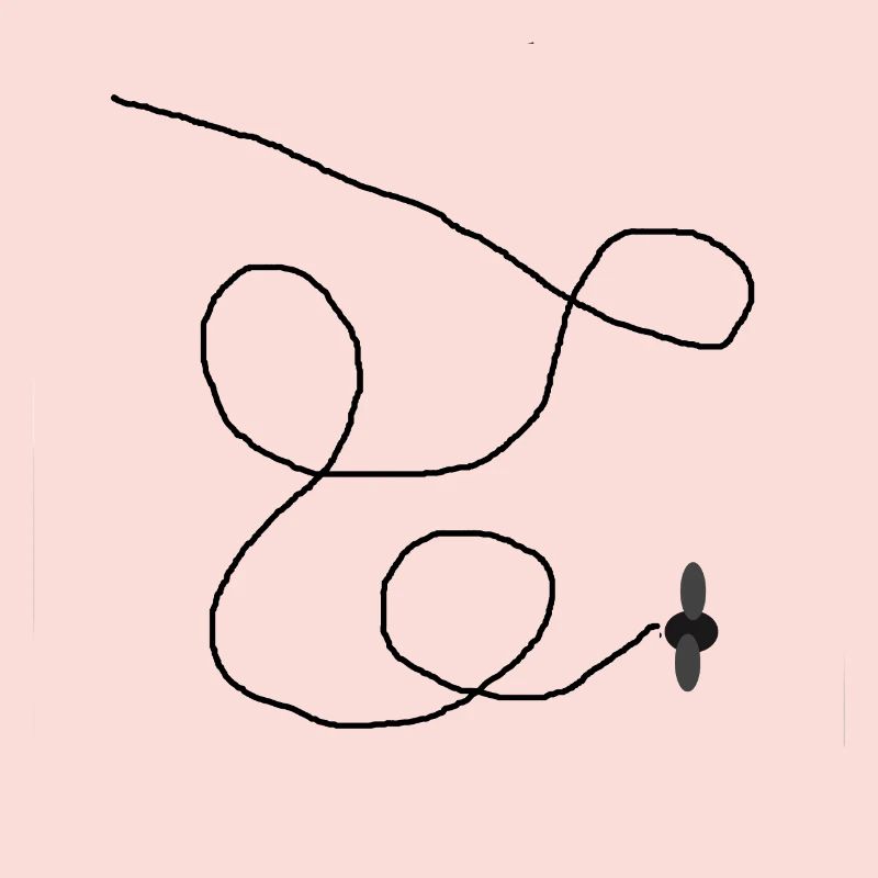 Fliege Muster