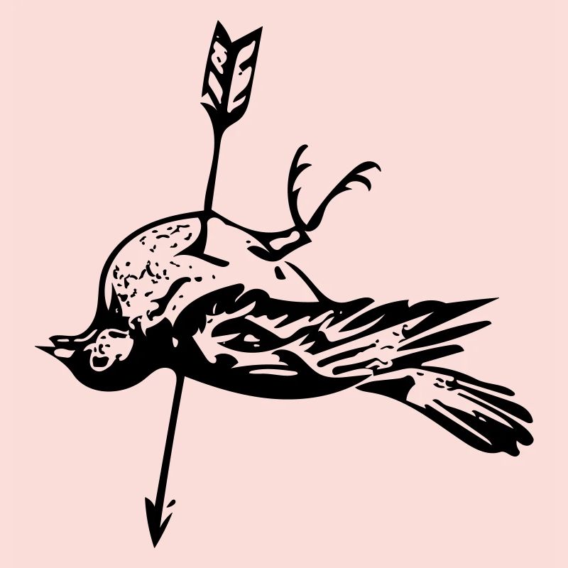Oiseau mort - flèche dans le coeur