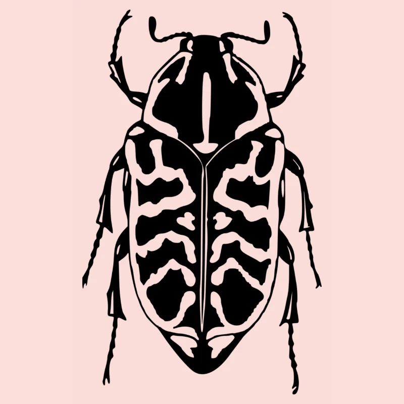 bark beetle