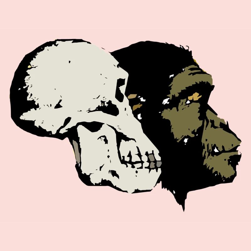 Evolution