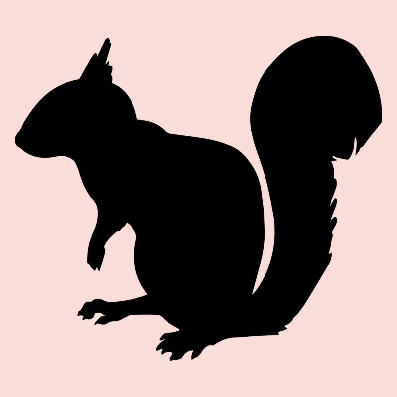 Eichhörnchen