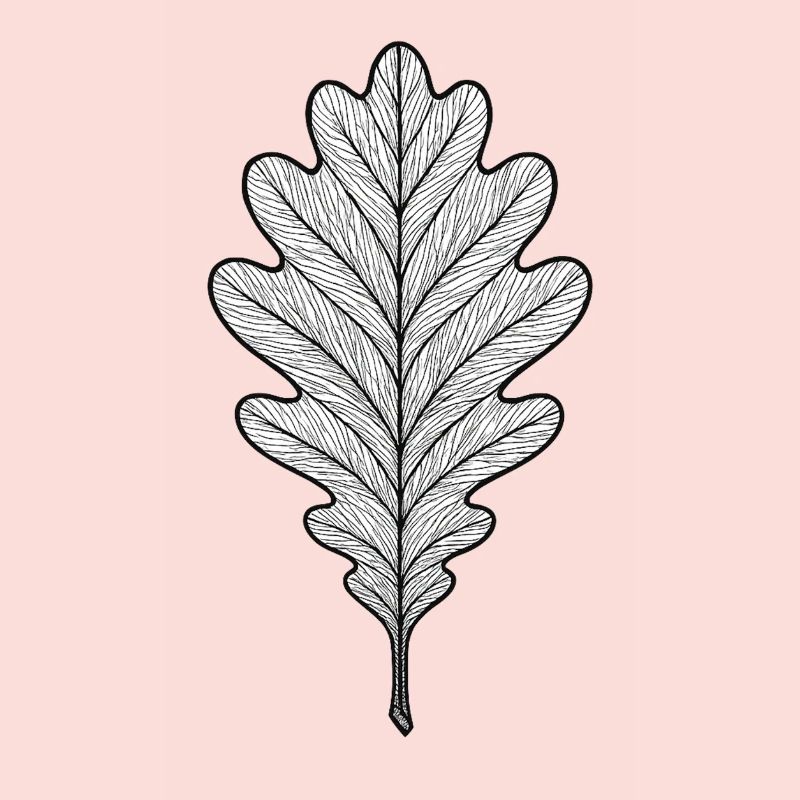 Monochromes Eichenblatt-Design