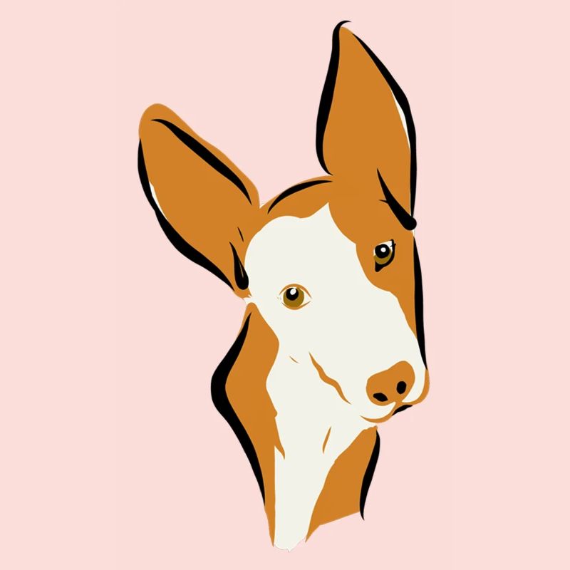 Podi