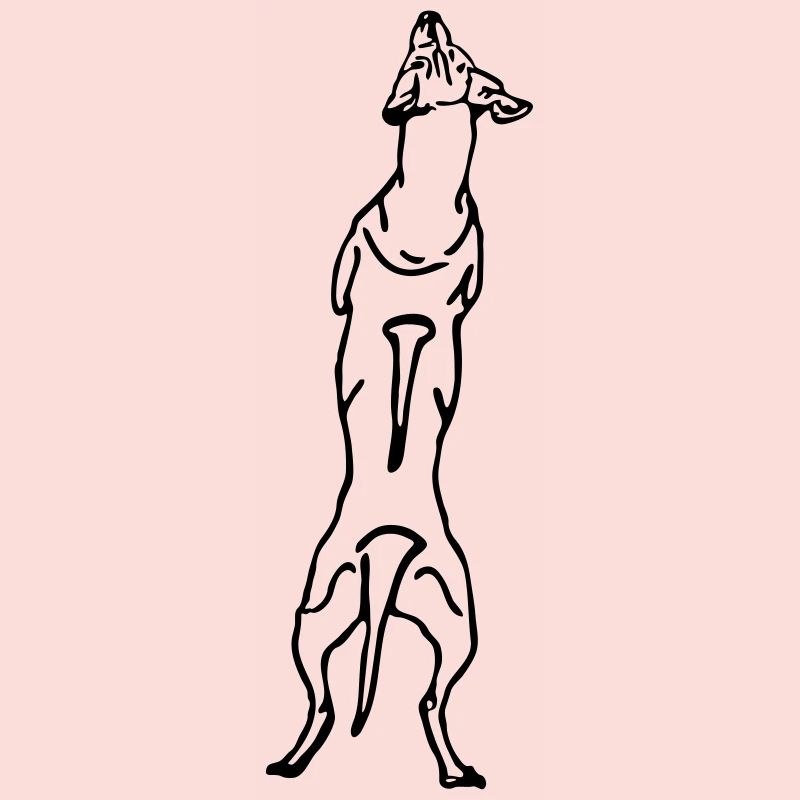 Ridgeback back