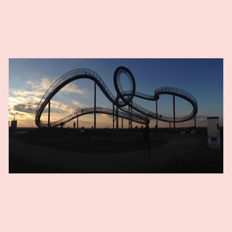 Tiger & Turtle