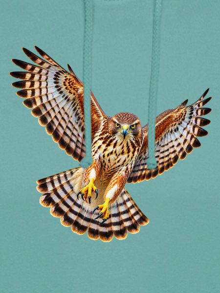 Bussard