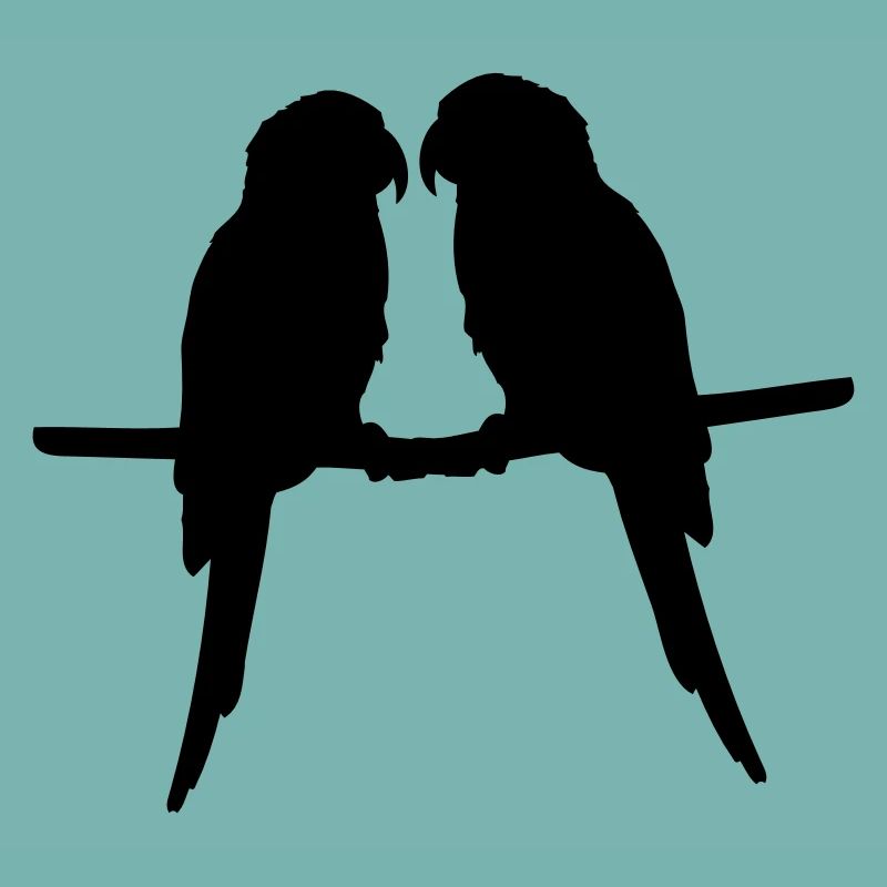 Perroquets quelques oiseaux