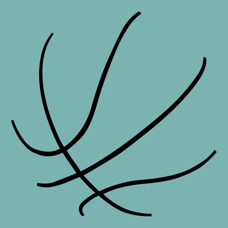 Basketball, dunking