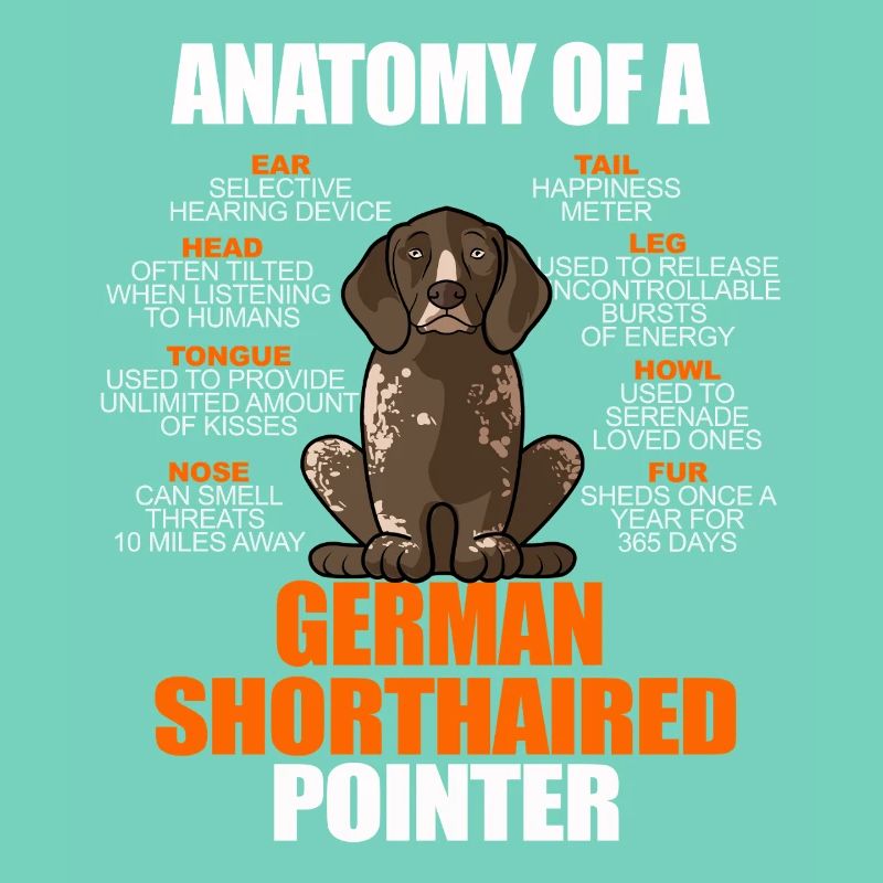 Anatomie eines Deutschen Kurzhaar-Pointers Lustiges GSP