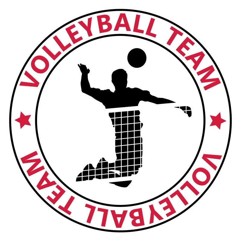 l'équipe de volley-ball