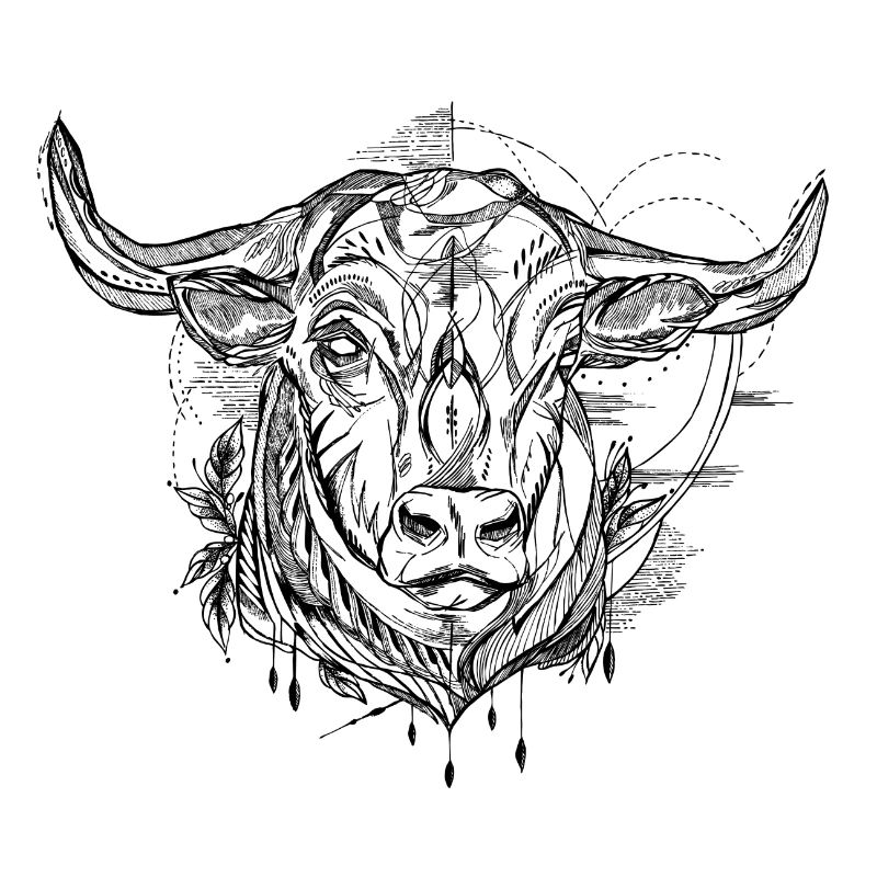 Sternzeichen Stier