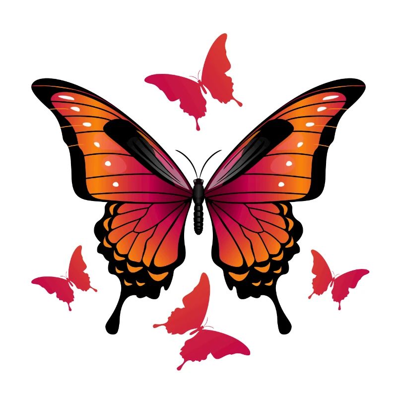 Papillons - Papillon