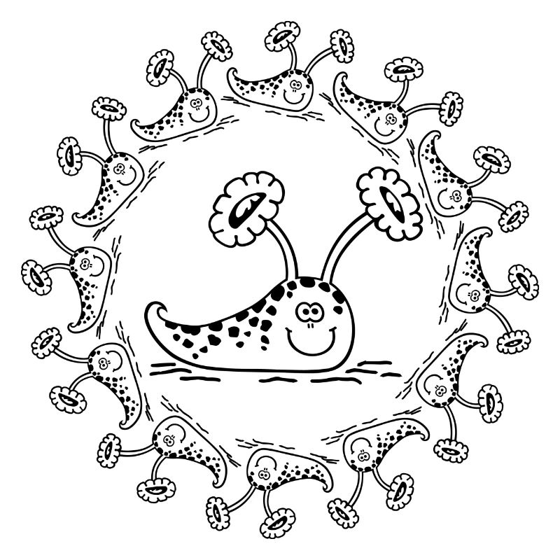 Tiger snail