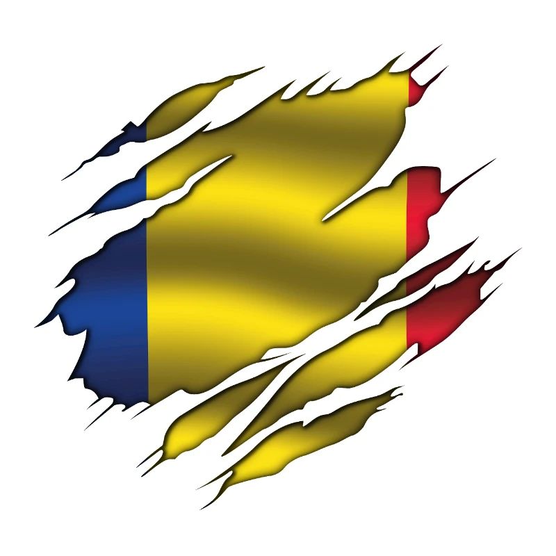 Drapeau de la Roumanie - Roumanie - Drapeau déchiré