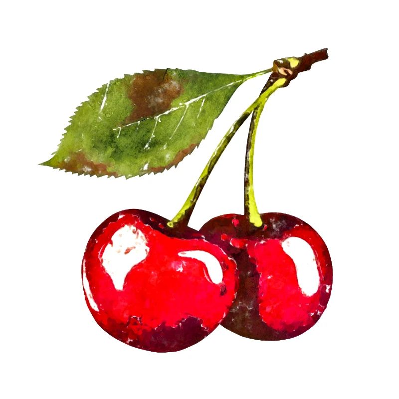 Cherries Summer Trend 2025 Cherry Vintrage Retro