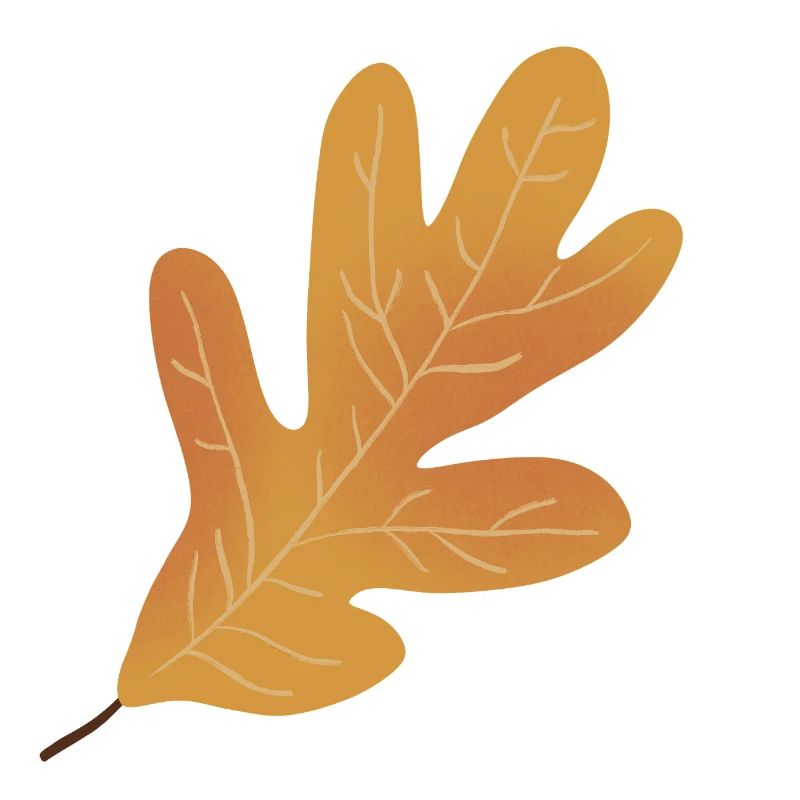 Illustration de feuille de chêne d’automne