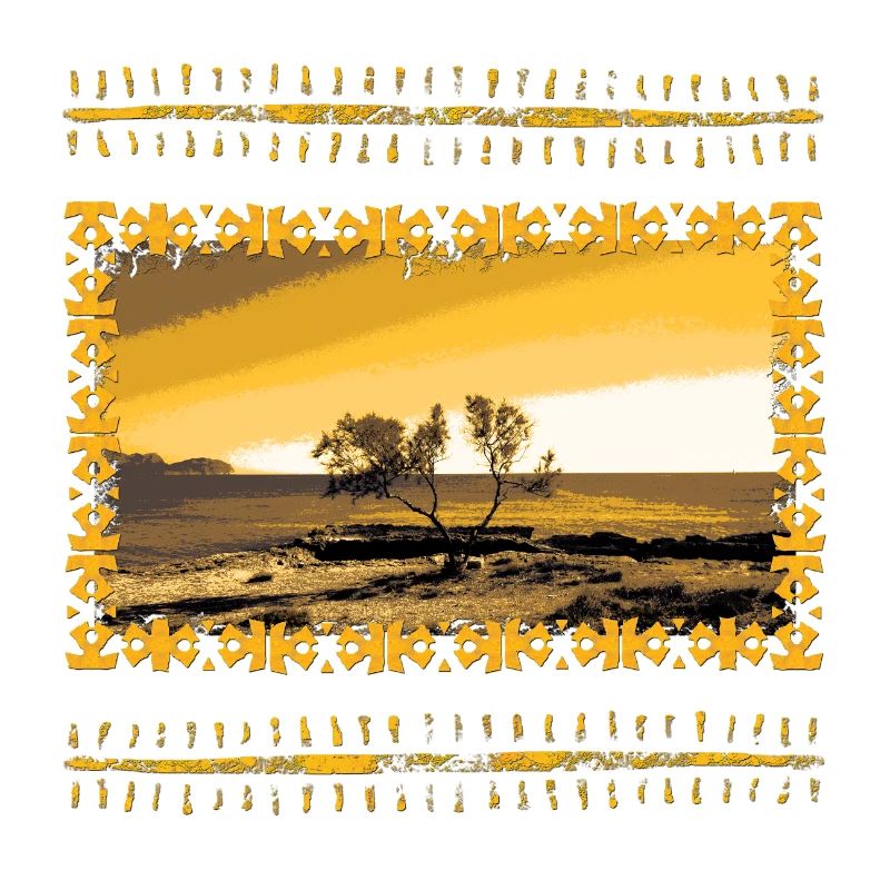 Golden Evening Landscape Tree Can Picafort