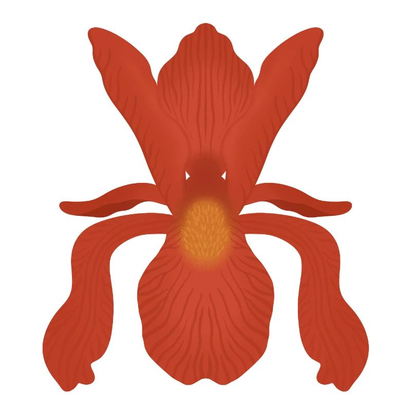 Crimson Iris Flame
