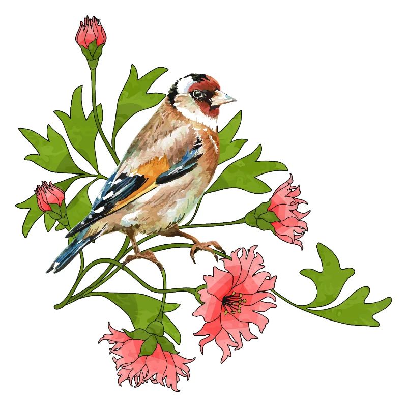 Bunter Vogel