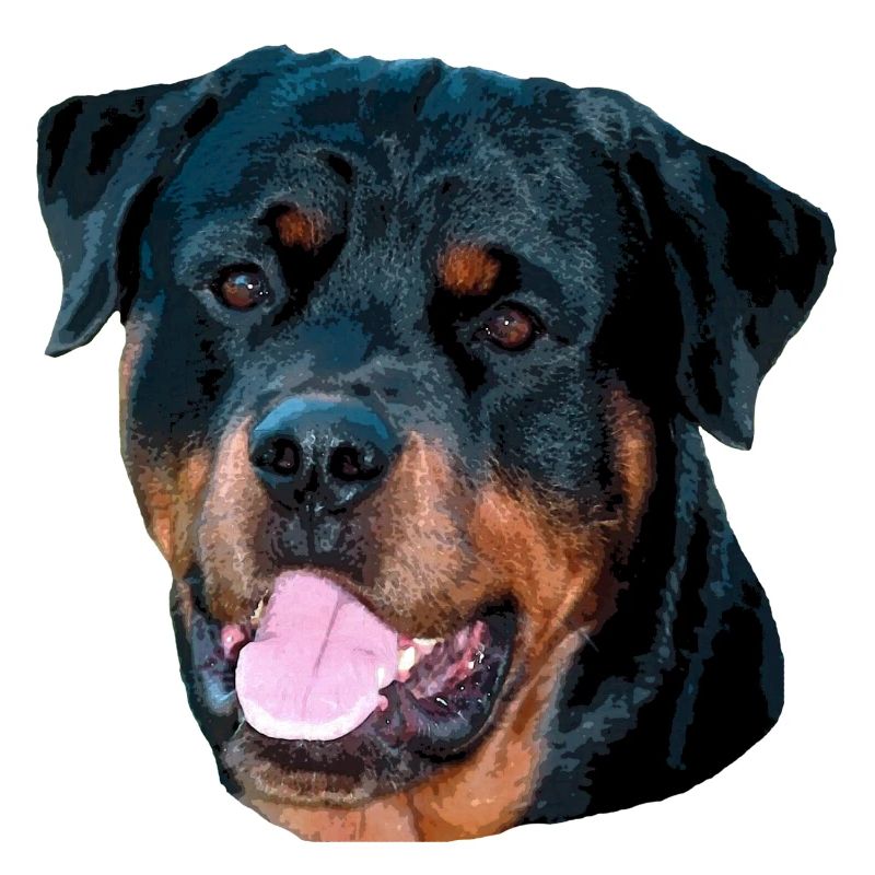 Rotti