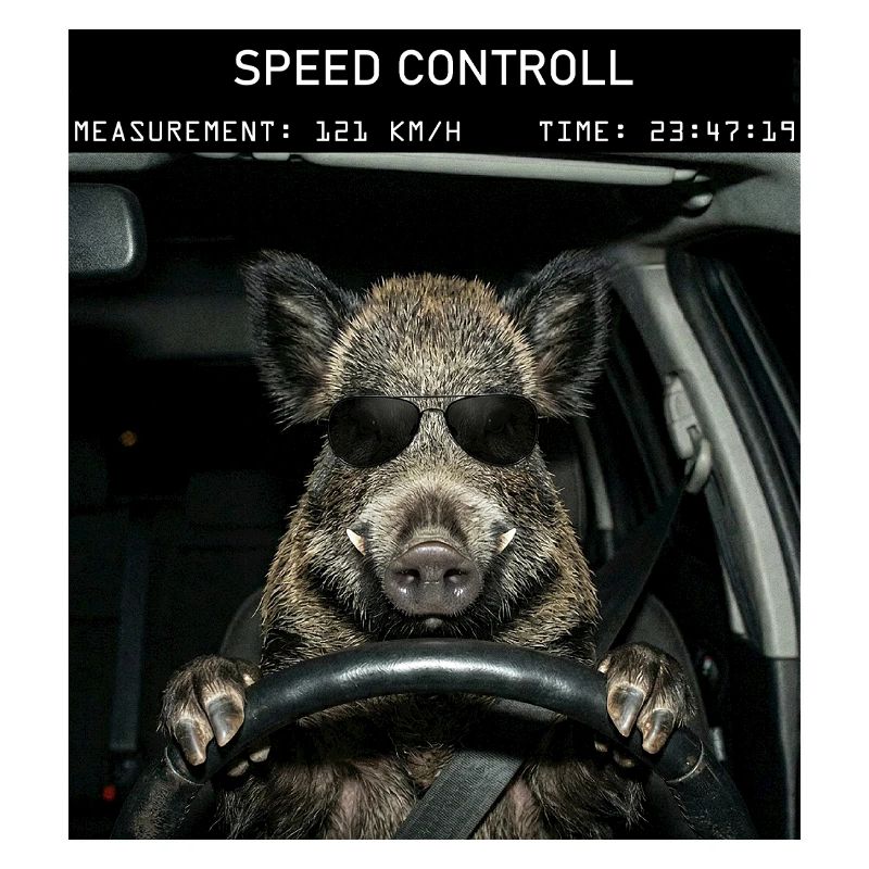 Wild boar speed control