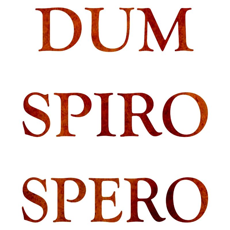 dum spiro spero, citations latines