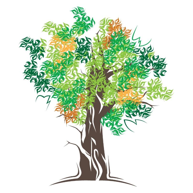 Tree Trees Forest Autumn Colors Symbol Logo icon