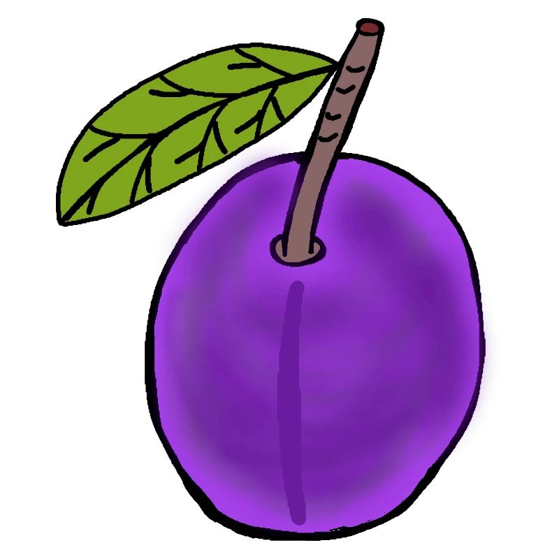 Plum Fruit Fruit Plums Hobby Gardener